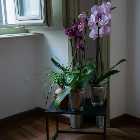 Mercanti E Viaggiatori Torino